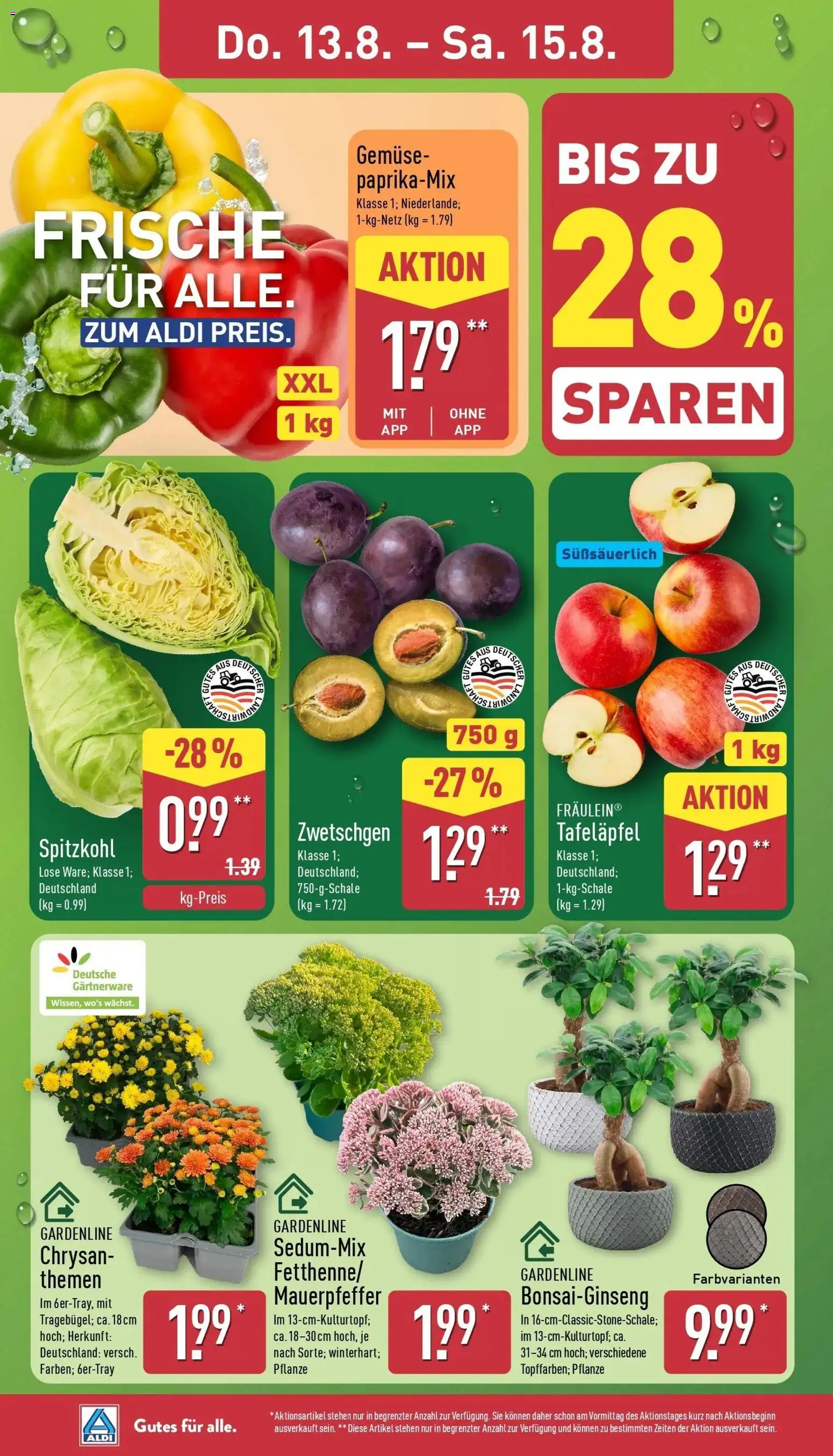 Aldi Wochenangebote (ab 10.08.2026) » Angebote Online | Seite: 28 | Produkte: Zwetschgen, Gemüse
