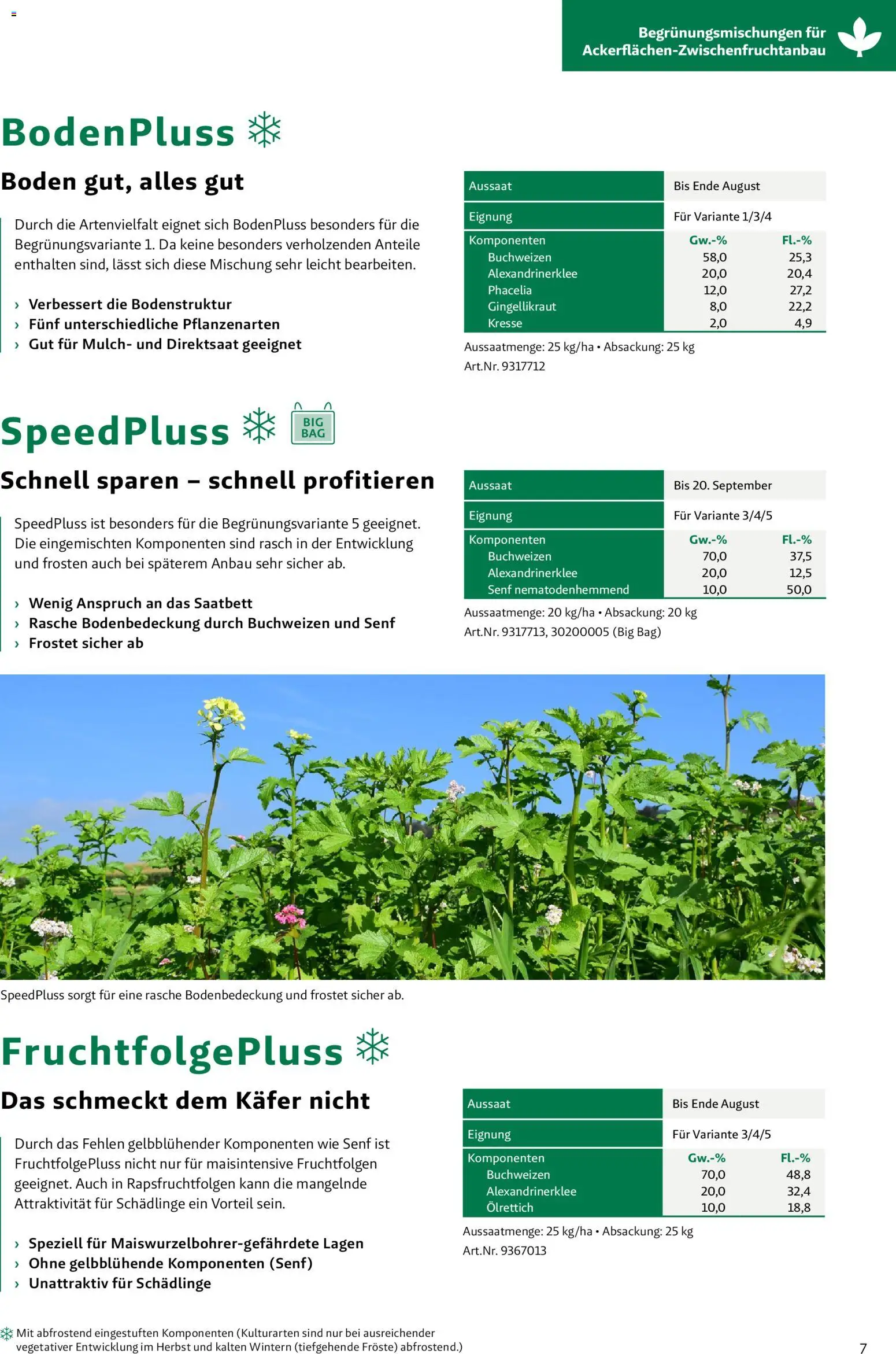 Lagerhaus Zwischenfrüchte und Begrünungen 2026 gültig ab 26.03.2026 | Seite: 7