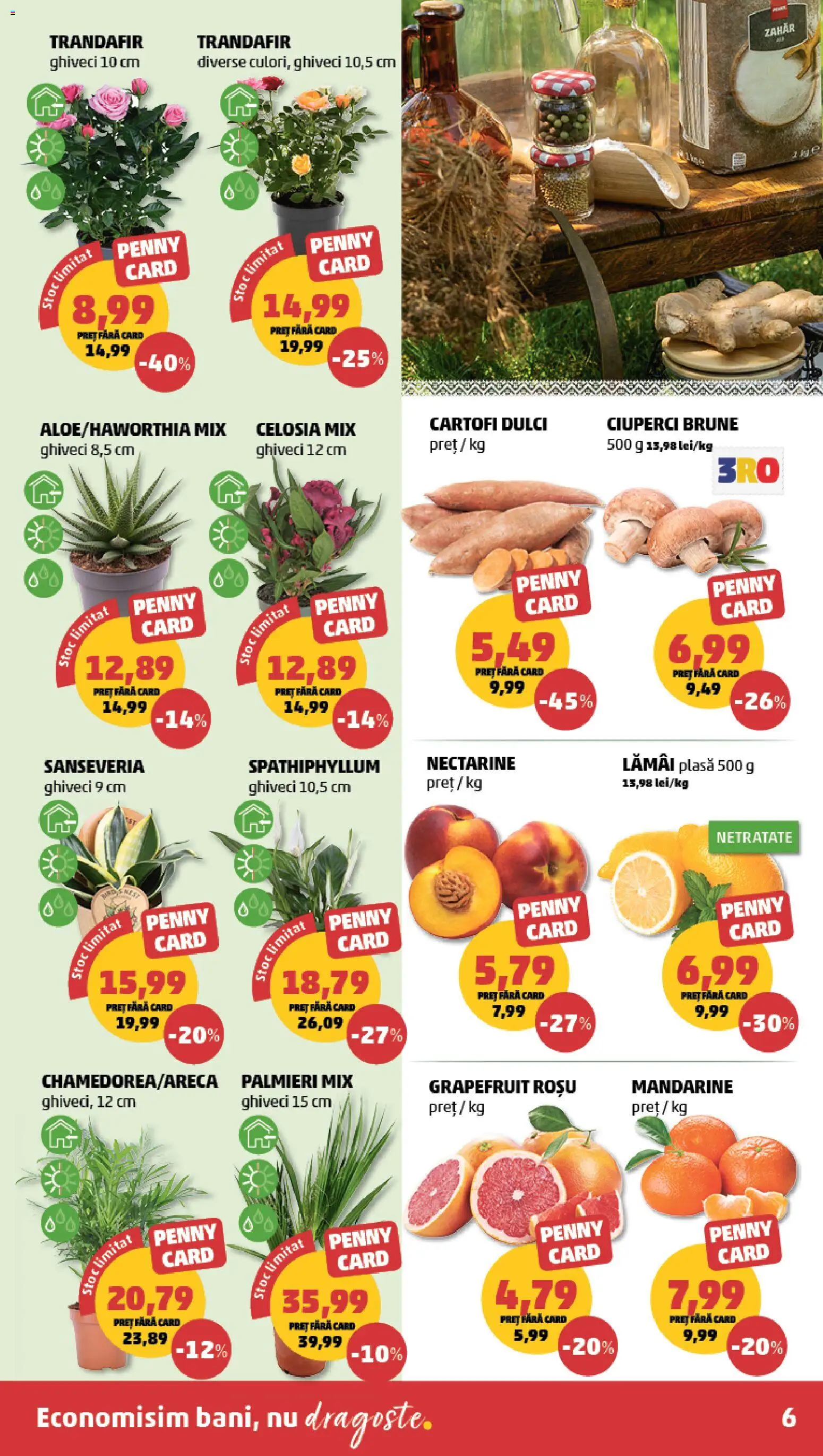 Noul catalog PENNY – valabil de la 16.09.2026 | Pagină: 6