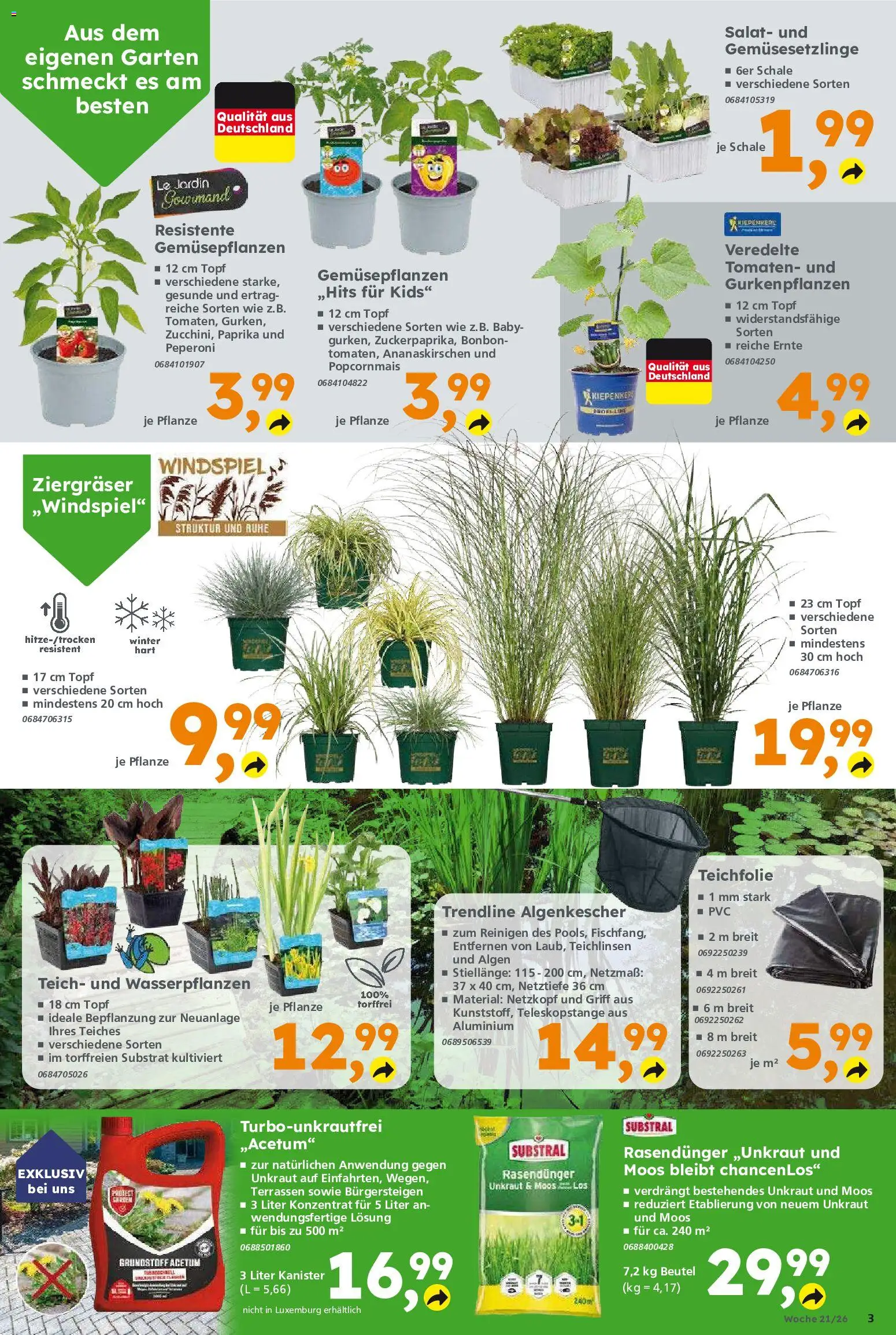 Globus Baumarkt Prospekt 	 – gültig ab 18.05.2026 | Seite: 3