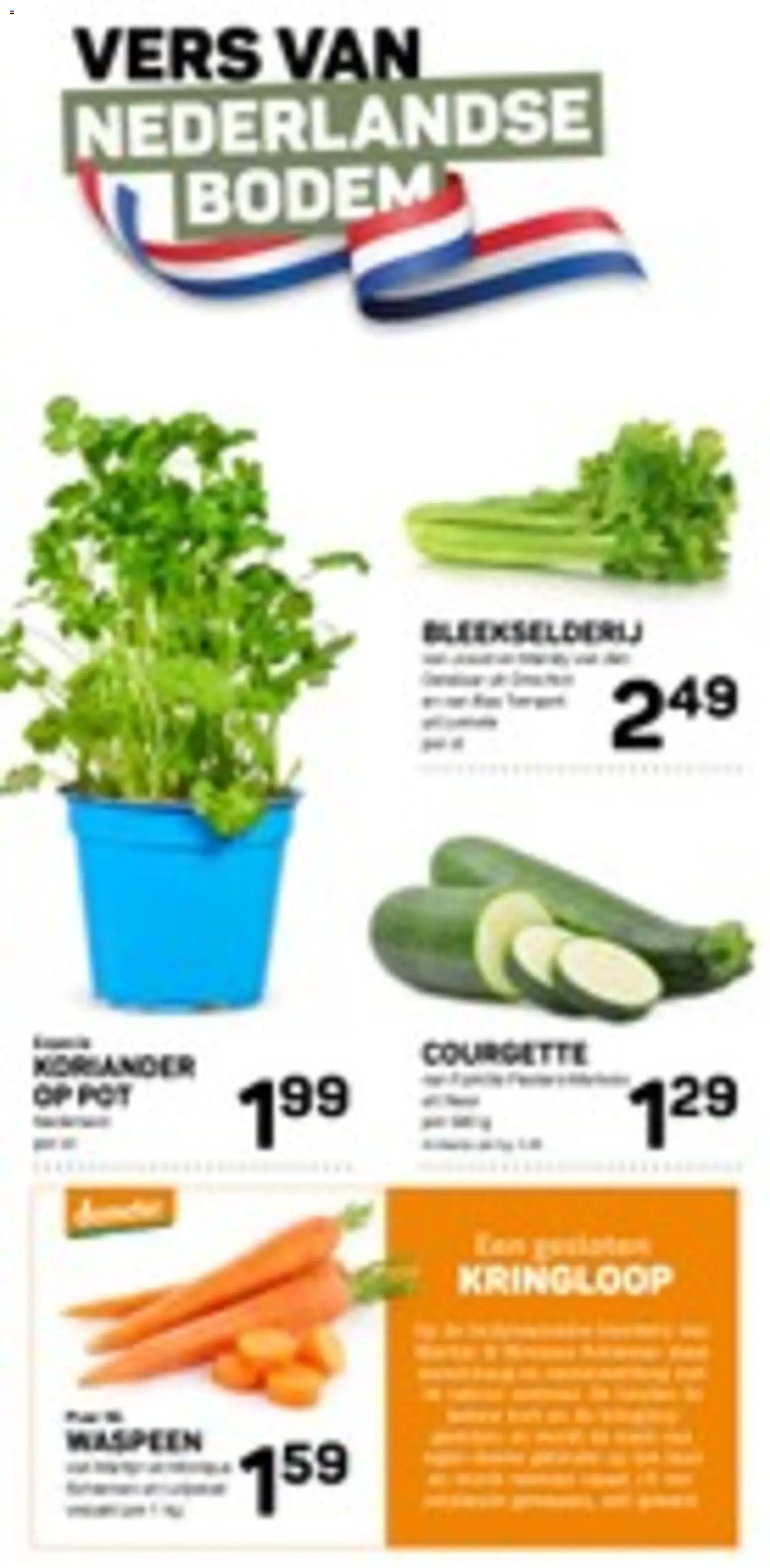 {H1} | Pagina: 10 | Producten: Courgette, Pot, Bleekselderij, Koriander