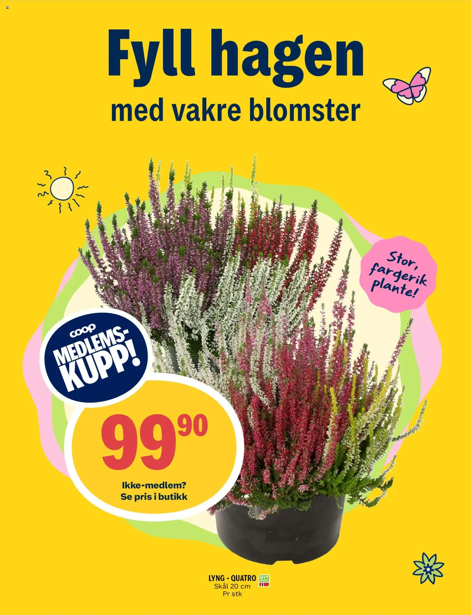 {H1} | Side: 11 | Produkter: Lyng, Blomster