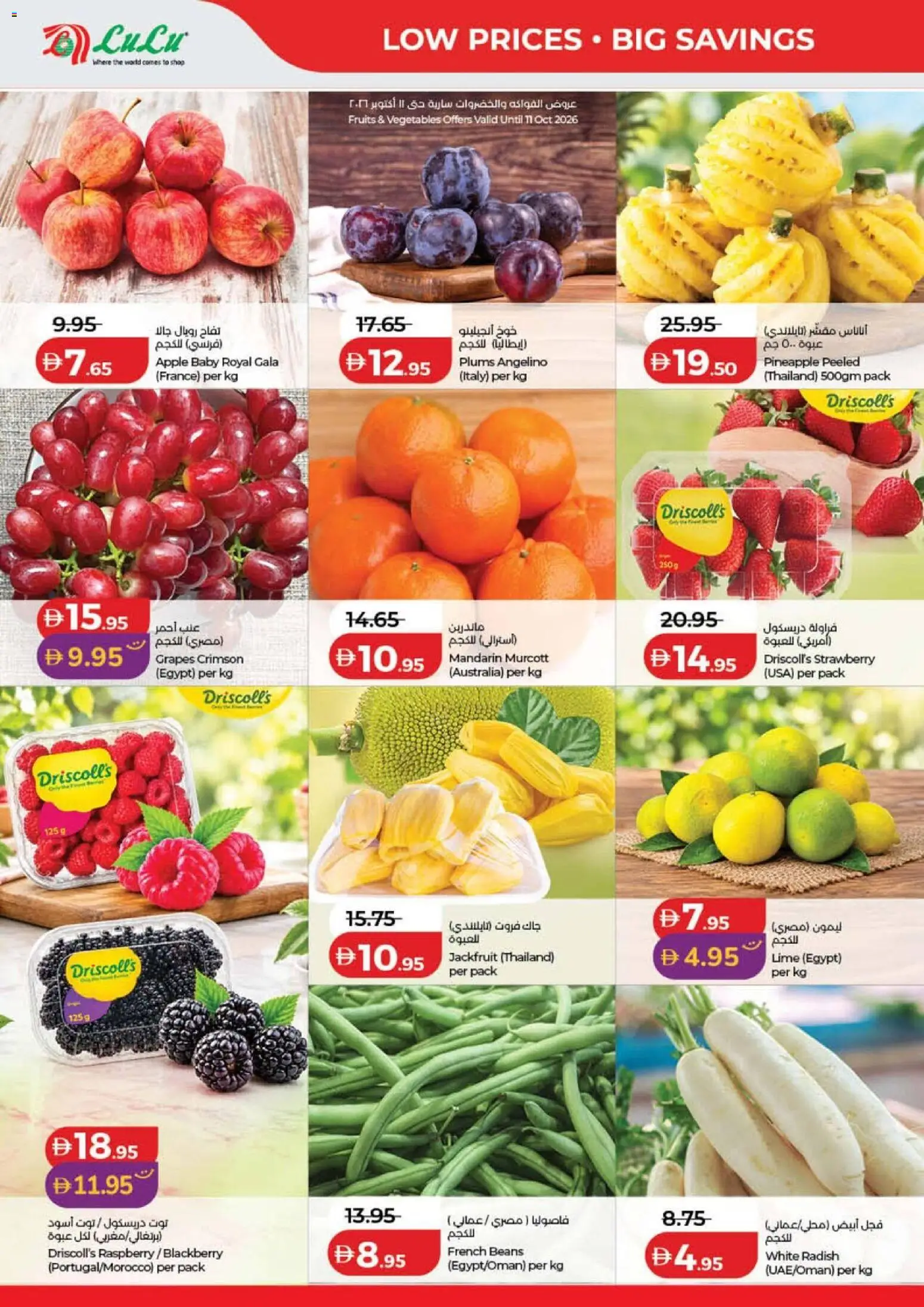 {H1} | Page: 28 | Products: Beans, Apple, Pineapple, Grapes