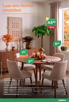 bellaflora Flugblatt ab 10.09.2026 gültig | Seite: 4 | Produkte: Kürbis, Vase