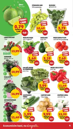 Ofertele PENNY valabile de la 29.04.2026 | Pagină: 4