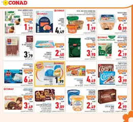 Anteprima del volantino FIORI DI MERLUZZO FINDUS, 300 g conf. da 4 pezzi valido a partire dal 26/08/2026 | Pagina: 13