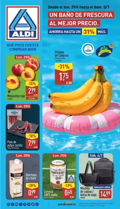 Vista previa Aldi folleto Canarias válido desde el 29/06/2026