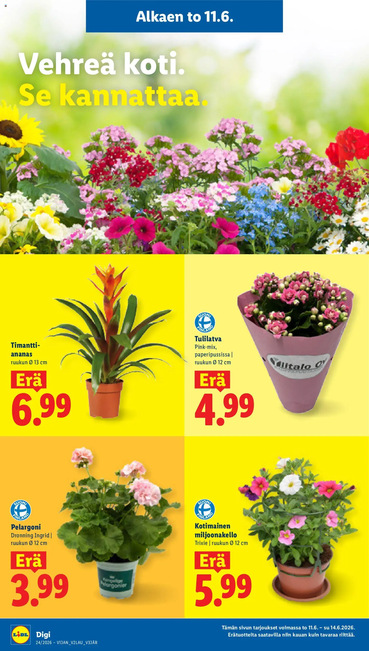 Lidl tarjoukset – voimassa 11.06.2026 alkaen | Sivu: 20 | Tuotteet: Ananas