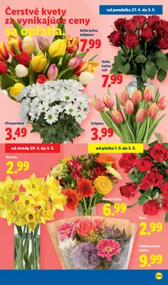 Lidl leták platný od 27.04.2026 | Strana: 43
