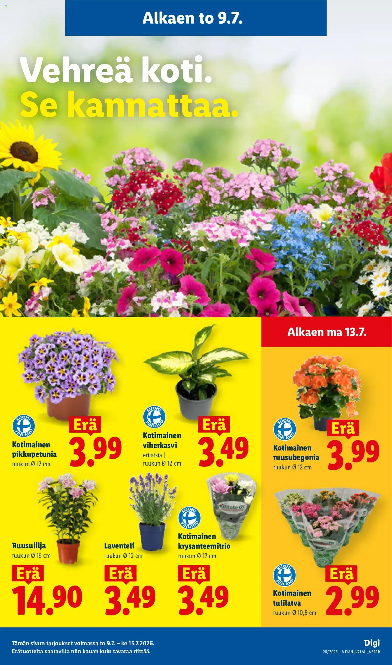 Lidl tarjoukset - Tampere – voimassa 09/07/2026 alkaen | Sivu: 13