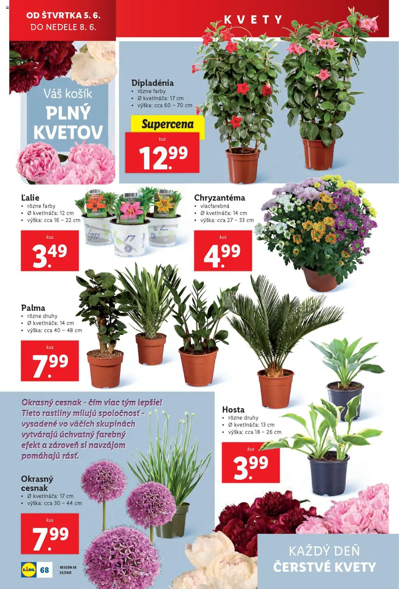 Nové Lidl akcie – leták je platný od 02.06.2025 | Strana: 88 | Produkty: Cesnak, Kvety