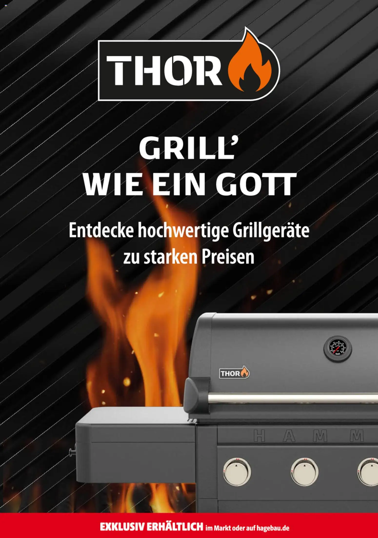Hagebau Prospekt – gültig ab 06.06.2026 | Seite: 17