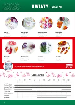 Pogląd oferty "Makro Gazetka - Ultra fresh" - ważna od 01.03.2026 | Strona: 6 | Produkty: Chryzantemy, Storczyk, Płatki, Kwiaty