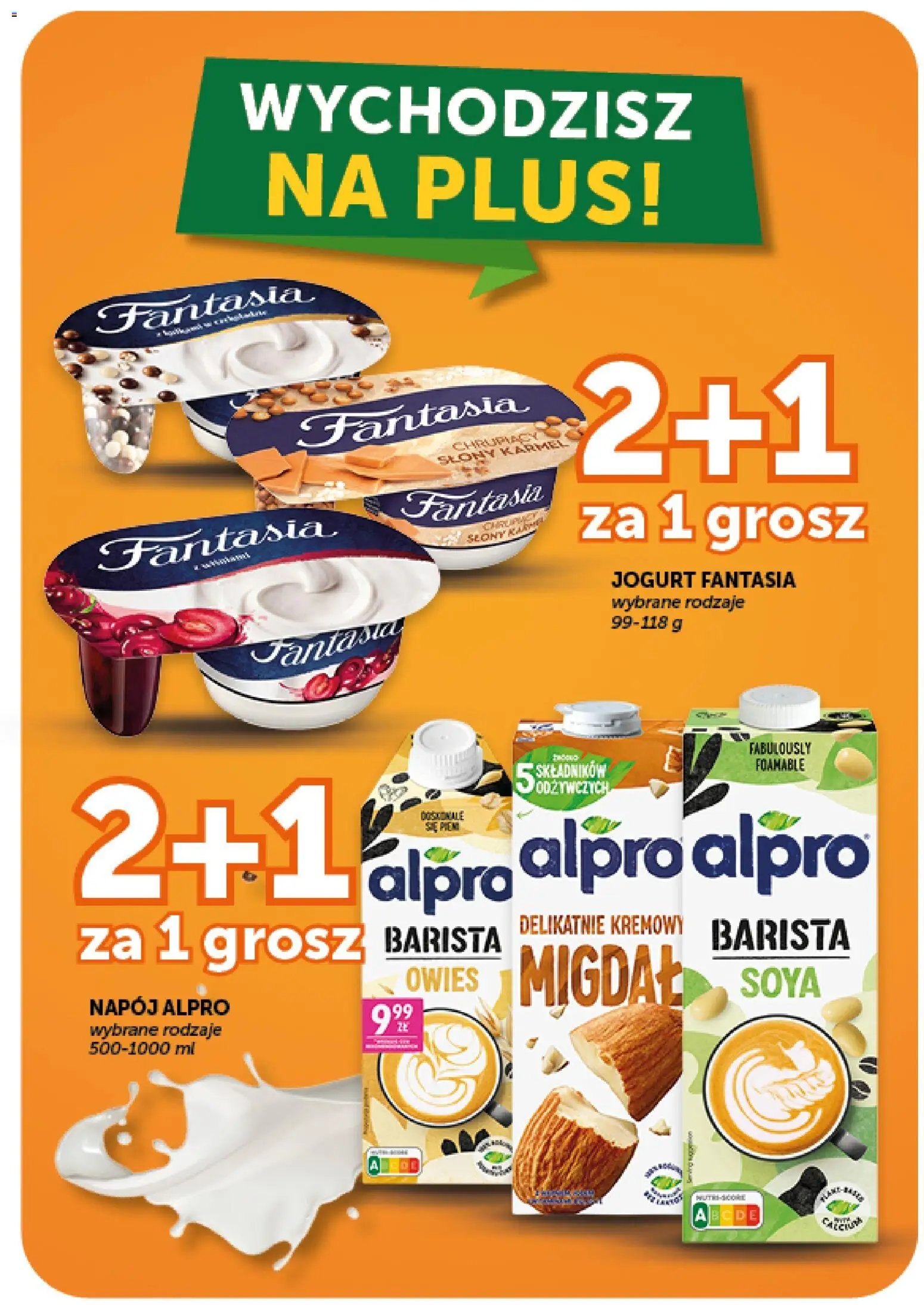 Groszek gazetka - Market od 20.08.2026 | Strona: 10 | Produkty: Alpro, Słony karmel, Jogurt