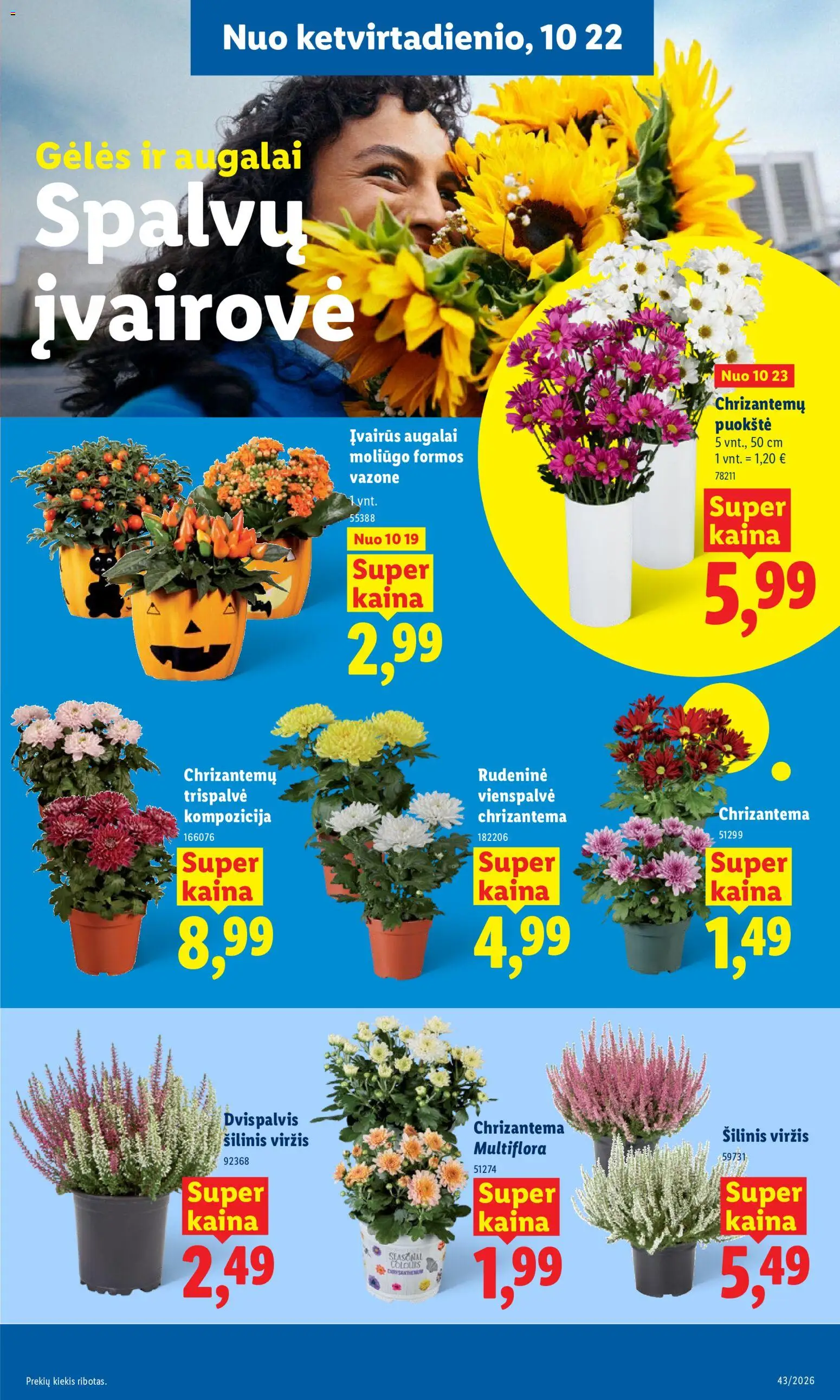 LIDL akcijos nuo 2026.10.19 | Puslapis: 33