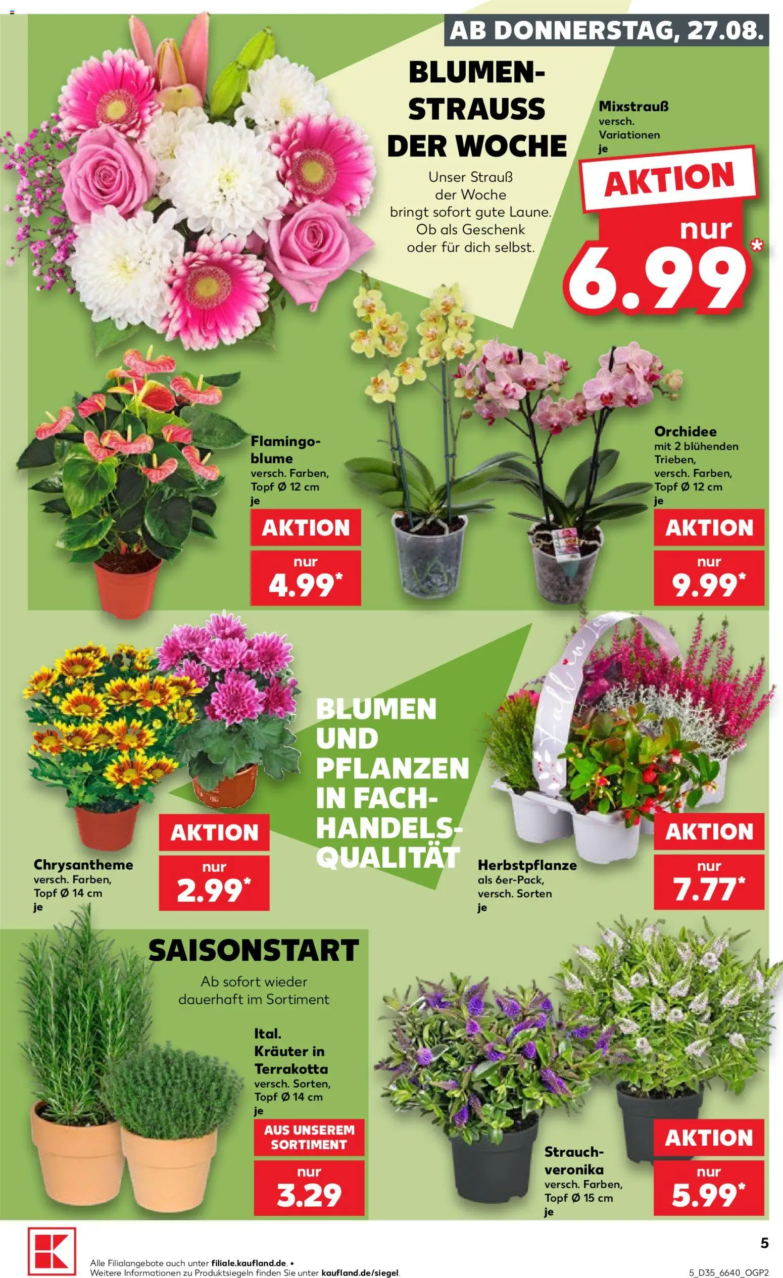 {H1} | Pagina: 5 | Producten: Orchidee