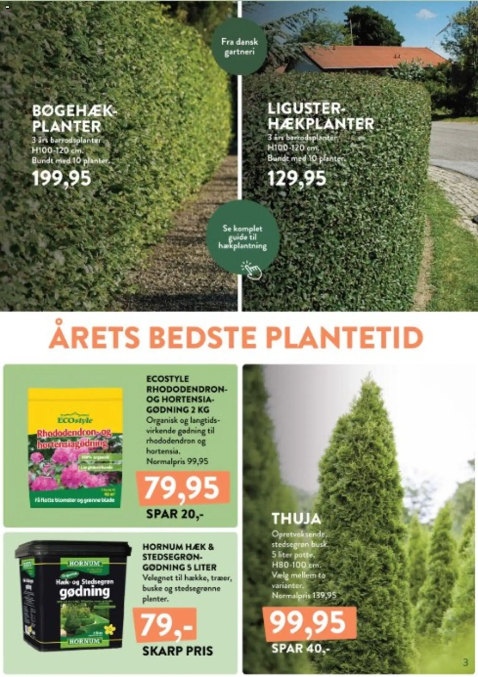 Plantorama tilbudsavis – gyldig fra 12/10/2026 | Side: 3