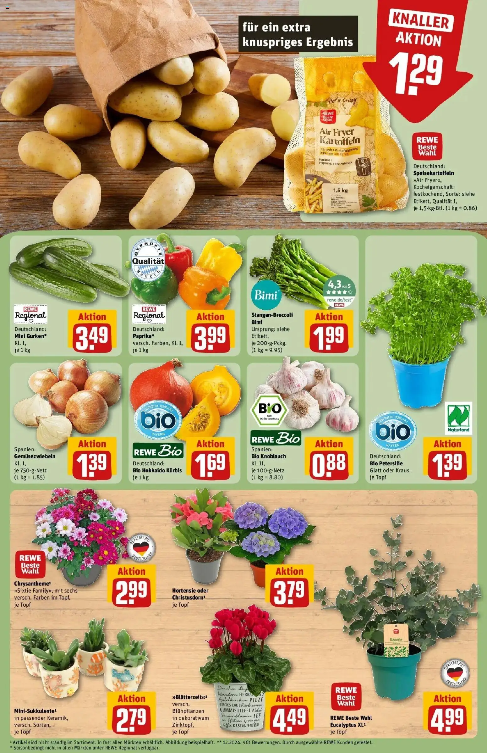 REWE Prospekt ab 24.08.2026 zum Blättern » Angebote | Seite: 7 | Produkte: Hortensie, Petersilie, Gummistiefel, Tee