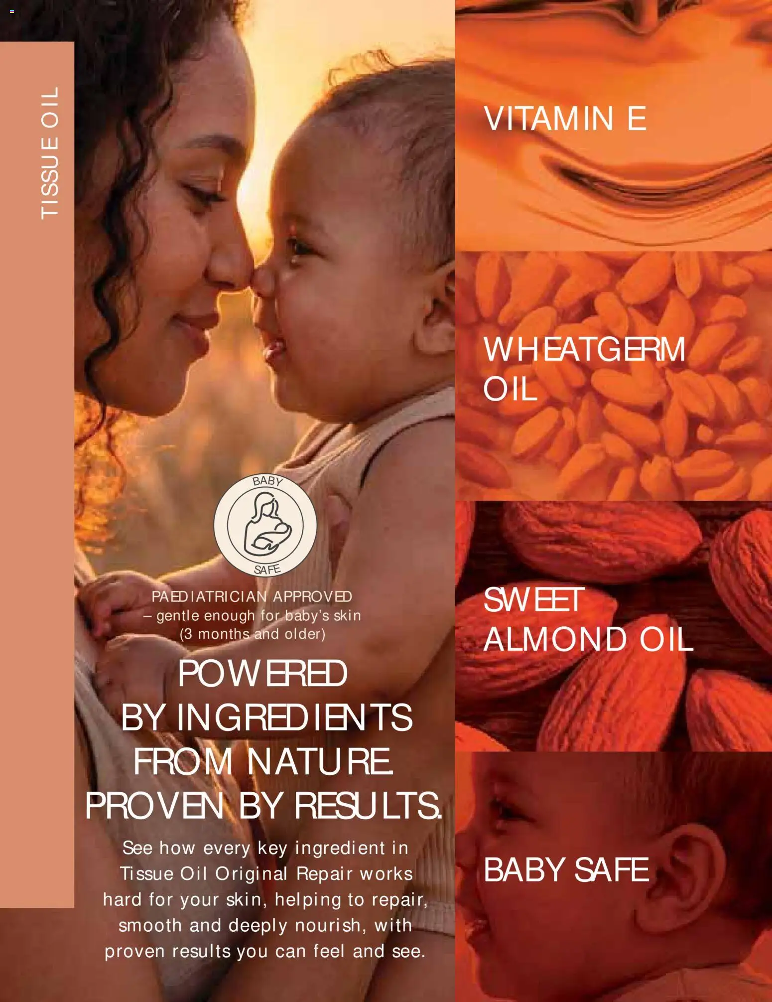 New Justine catalogue – valid from 01/09/2026 | Page: 24