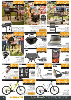 Преглед на Praktis брошура - Офертите са валидни от 20.04.2026 | Страница: 8 | Продукти: Гъба, Въглища, Дървени въглища, Тава