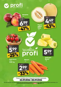 Ofertele Profi valabile de la 22.07.2026