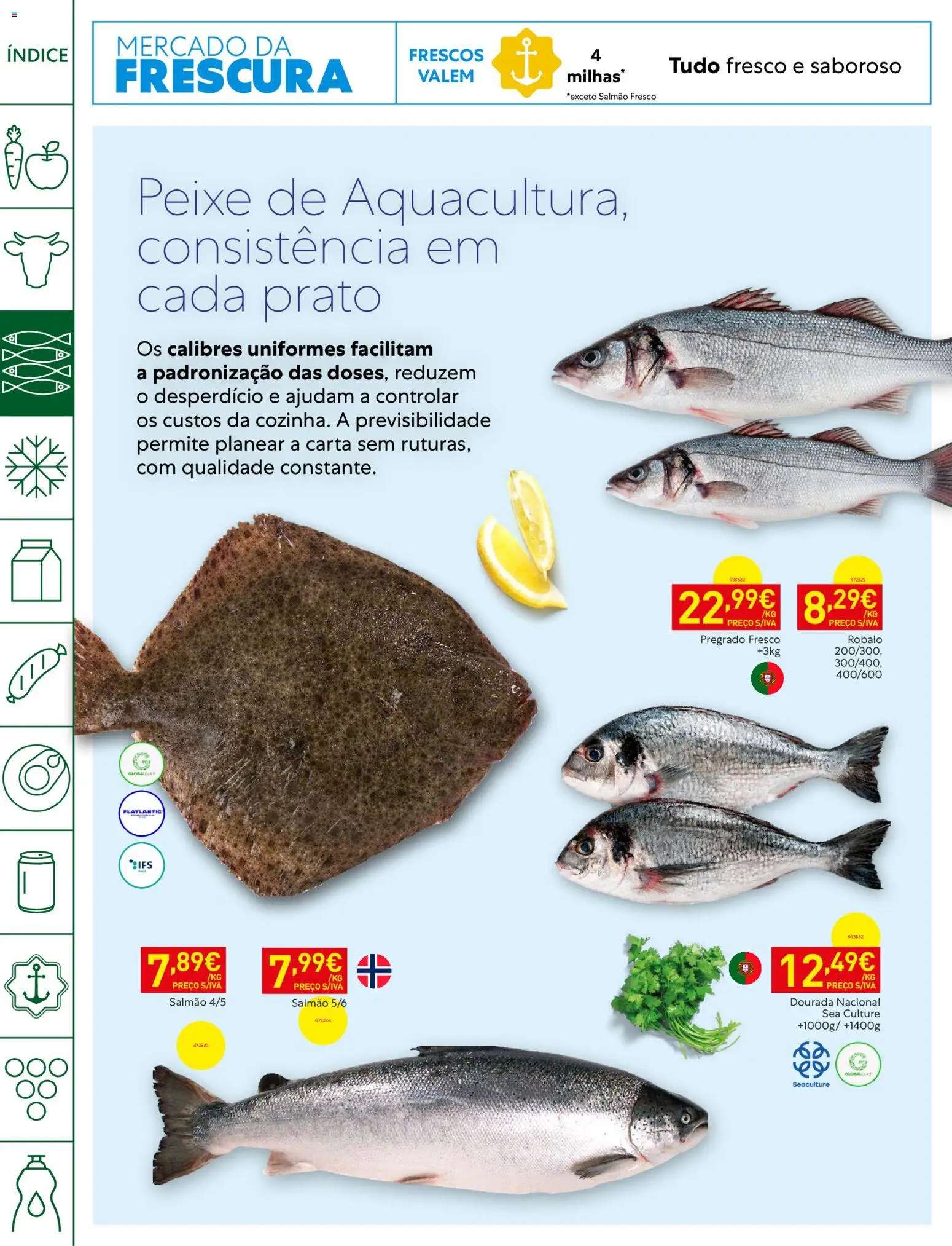 Recheio folheto Horeca │ válido de 27/10/2026 | Página: 8 | Produtos: Dourada, Salmão, Peixe, Salmão fresco