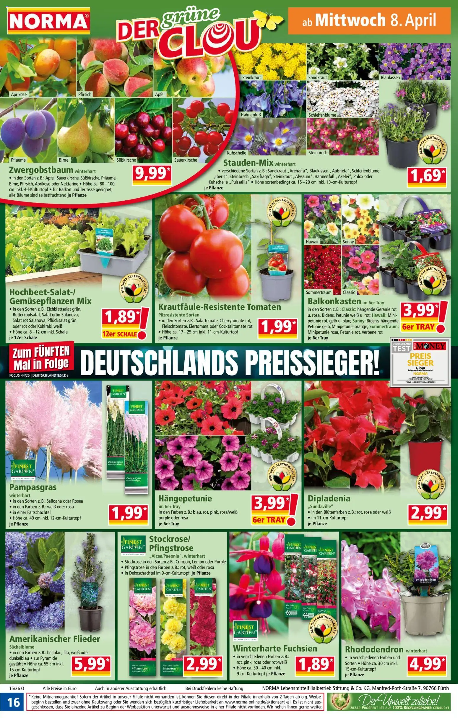 Norma Prospekt 	 – gültig ab 07.04.2026 | Seite: 16 | Produkte: Kohlrabi, Tomaten, Pfirsich, Birne