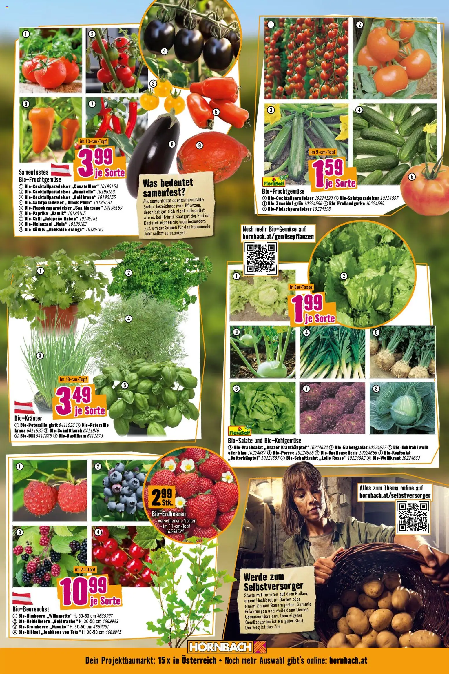 Hornbach Flugblatt gültig ab 15.04.2026 | Seite: 3 | Produkte: Tomaten