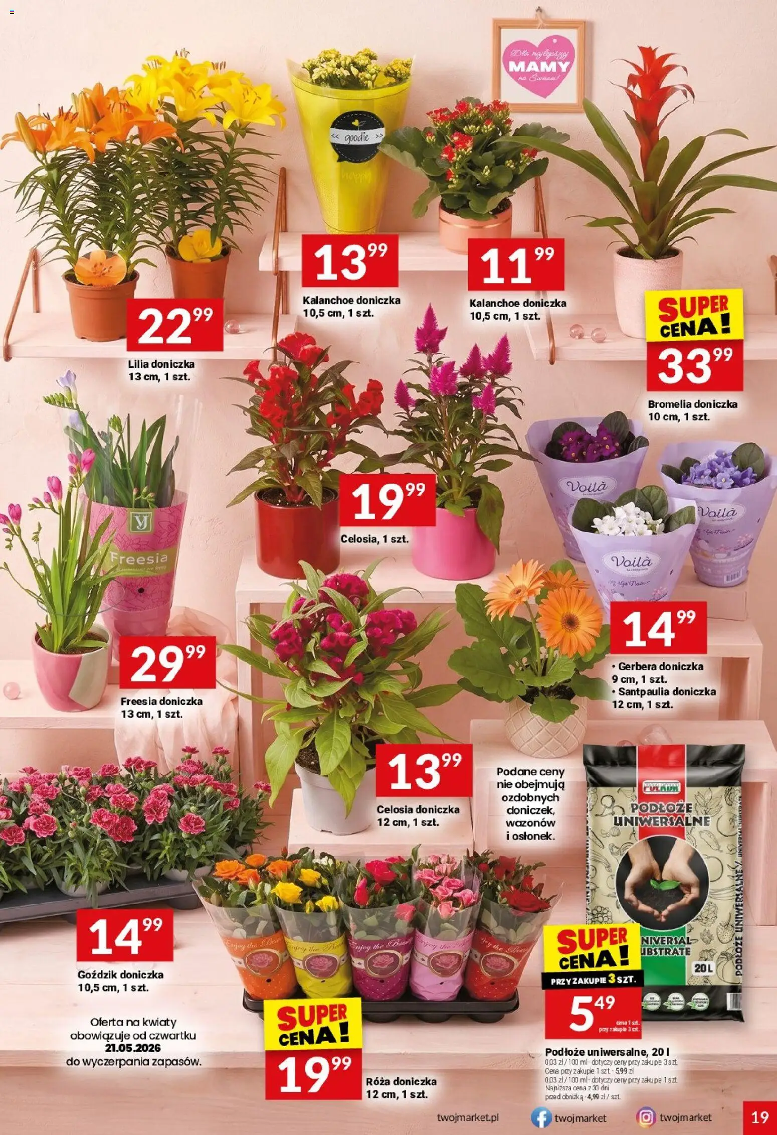 Twój Market gazetka od 20.05.2026 | Strona: 19 | Produkty: Goździk, Doniczka, Kalanchoe, Kwiaty