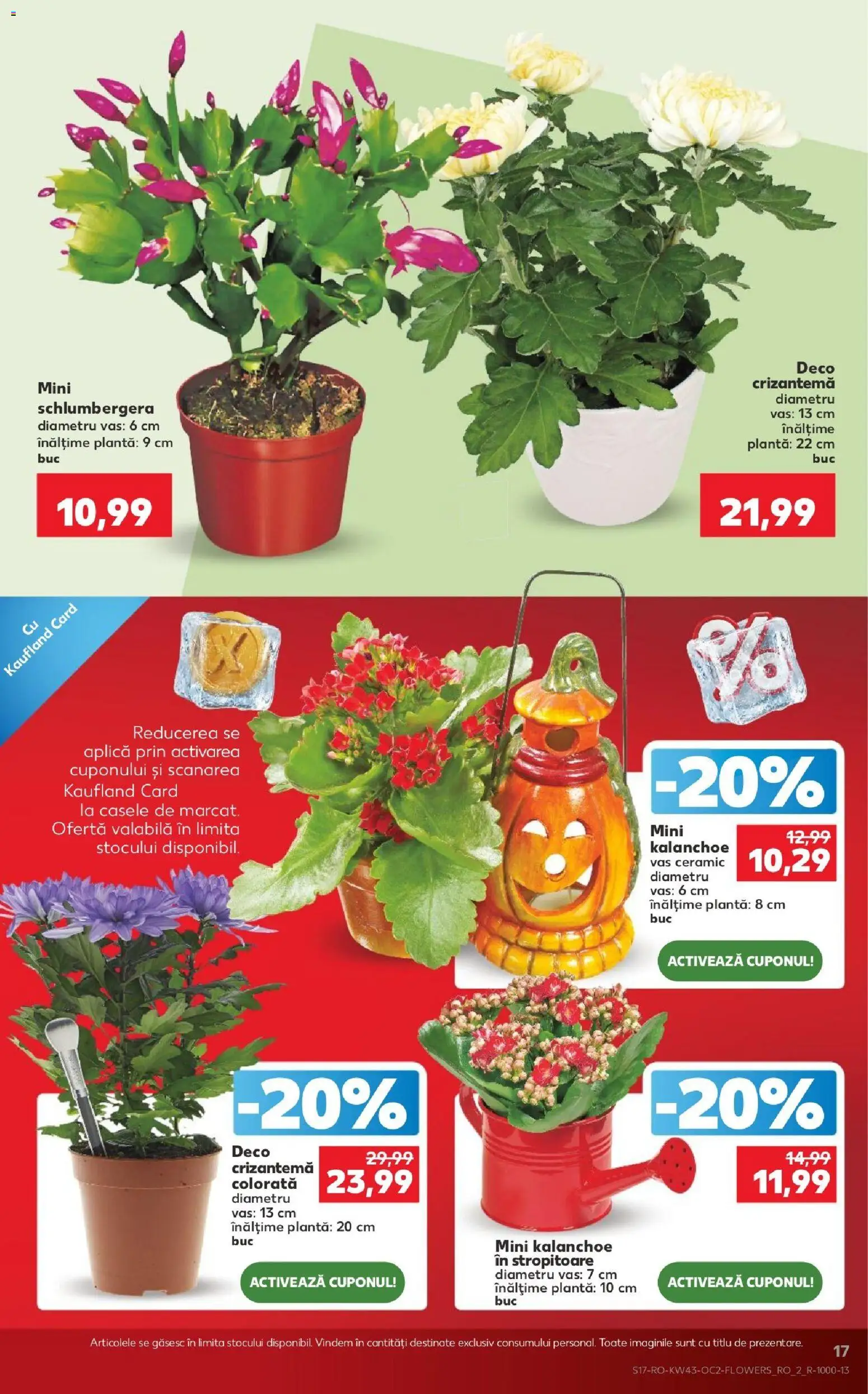 Noul catalog Kaufland – valabil de la 21.10.2026 | Pagină: 17 | Produse: Aplică