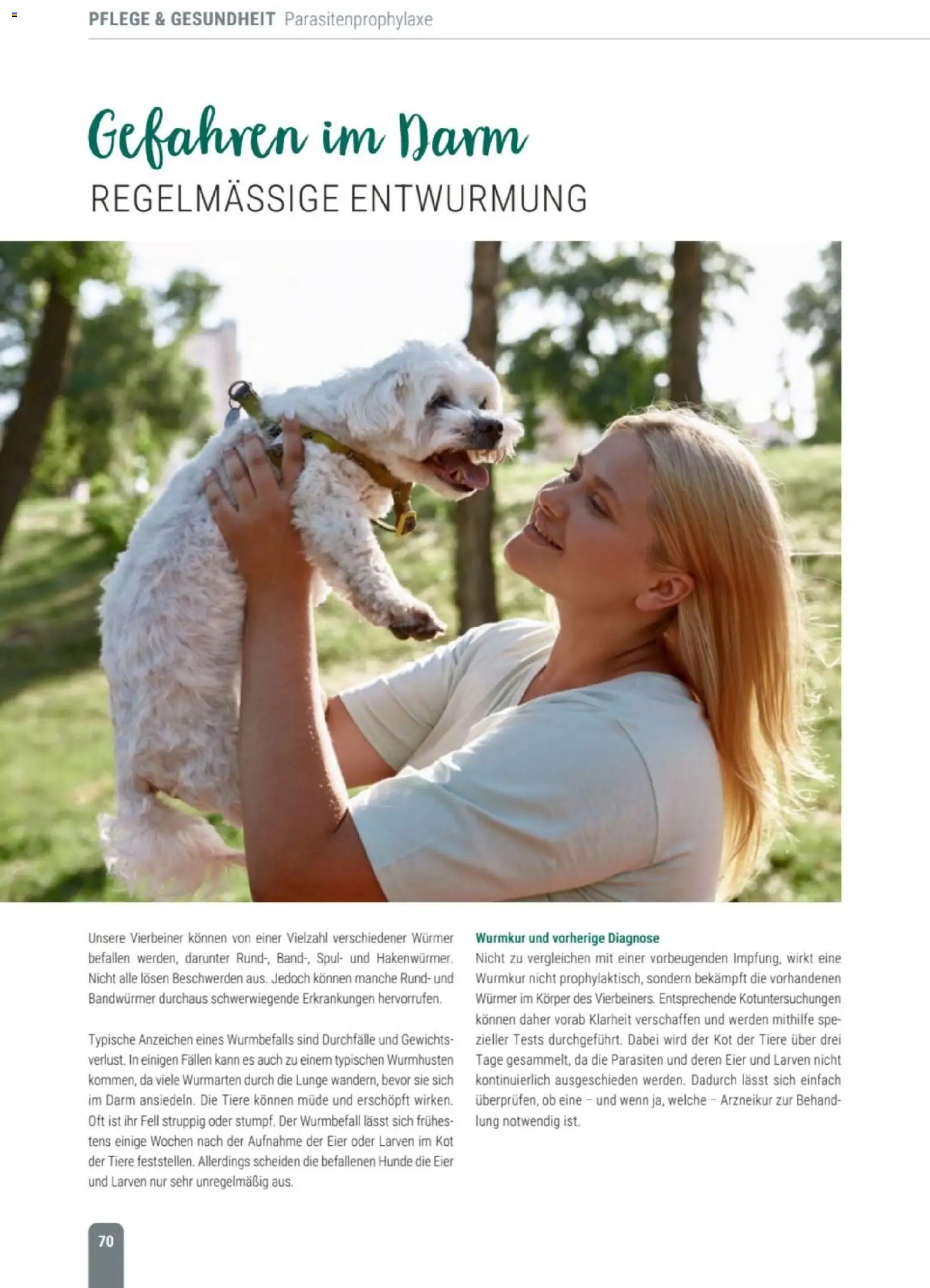 zookauf Themenkatalog Hund – gültig ab 18.05.2026 | Seite: 70 | Produkte: Eier