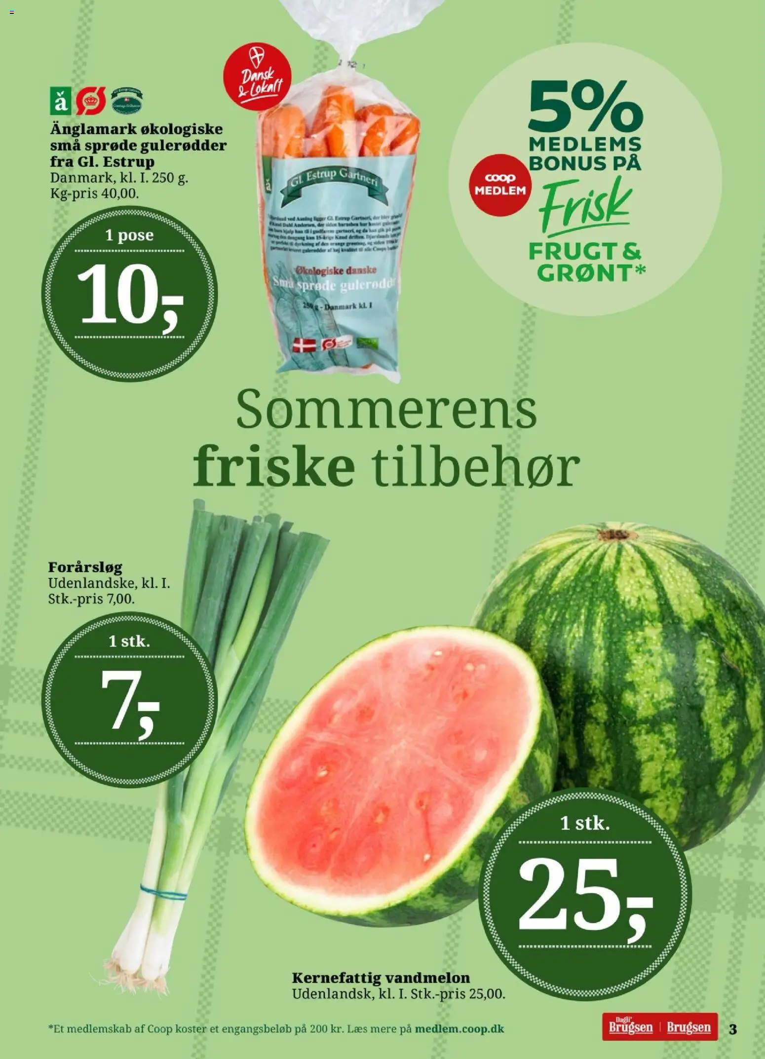 Dagli'Brugsen tilbudsavis – gyldig fra 17/07/2026 | Side: 3 | Produkter: Gulerødder, Forårsløg, Vandmelon