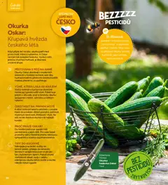 Náhled letáku Albert magazín od 01.07.2026 | Strana: 20 | Produkty: Okurky, Okurka hadovka, Kuchyně, Okurka