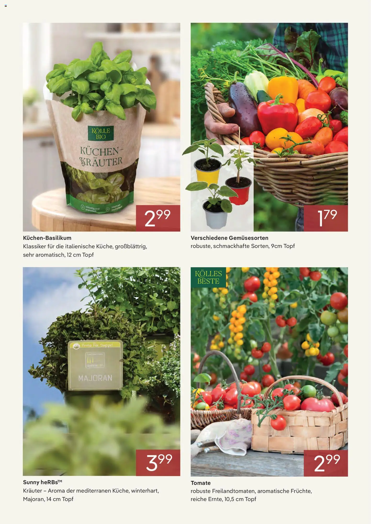 Pflanzen-Kölle Onlineflyer Mai – gültig ab 02.05.2026 | Seite: 3 | Produkte: Kuchen