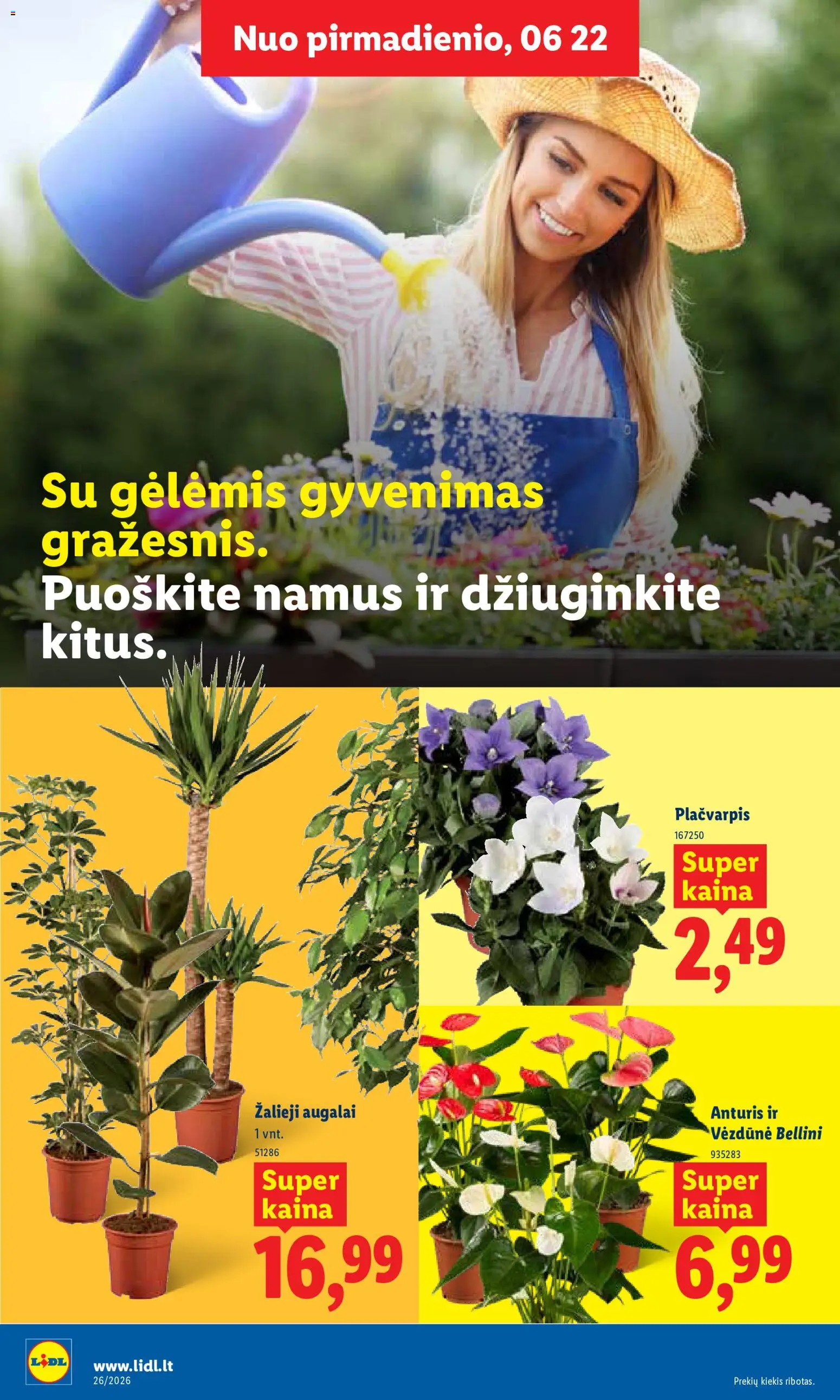 LIDL akcijos nuo 2026.06.22 | Puslapis: 8