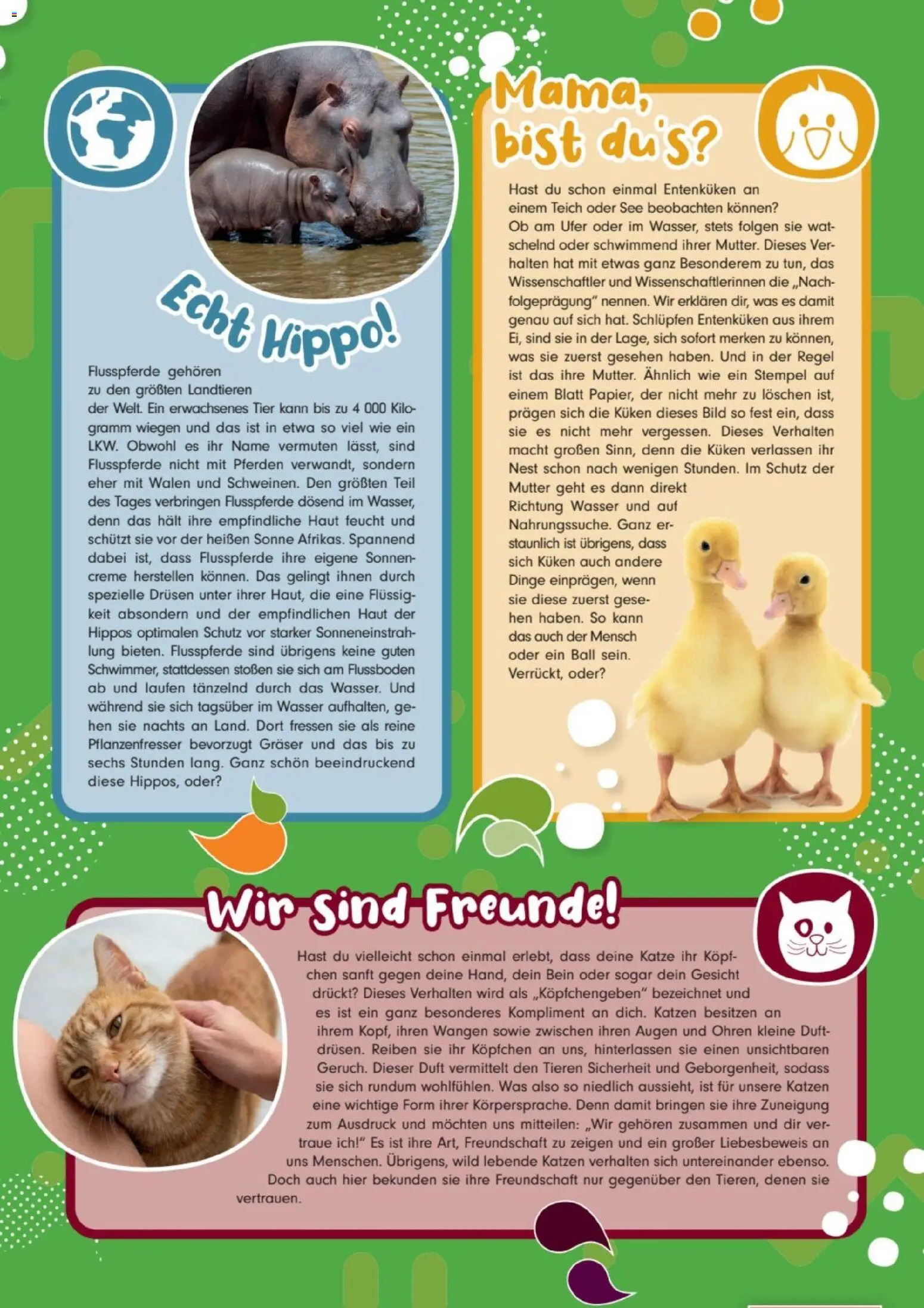 zookauf zookauf Kids – gültig ab 01.06.2026 | Seite: 2 | Produkte: Duft, Creme, Wasser