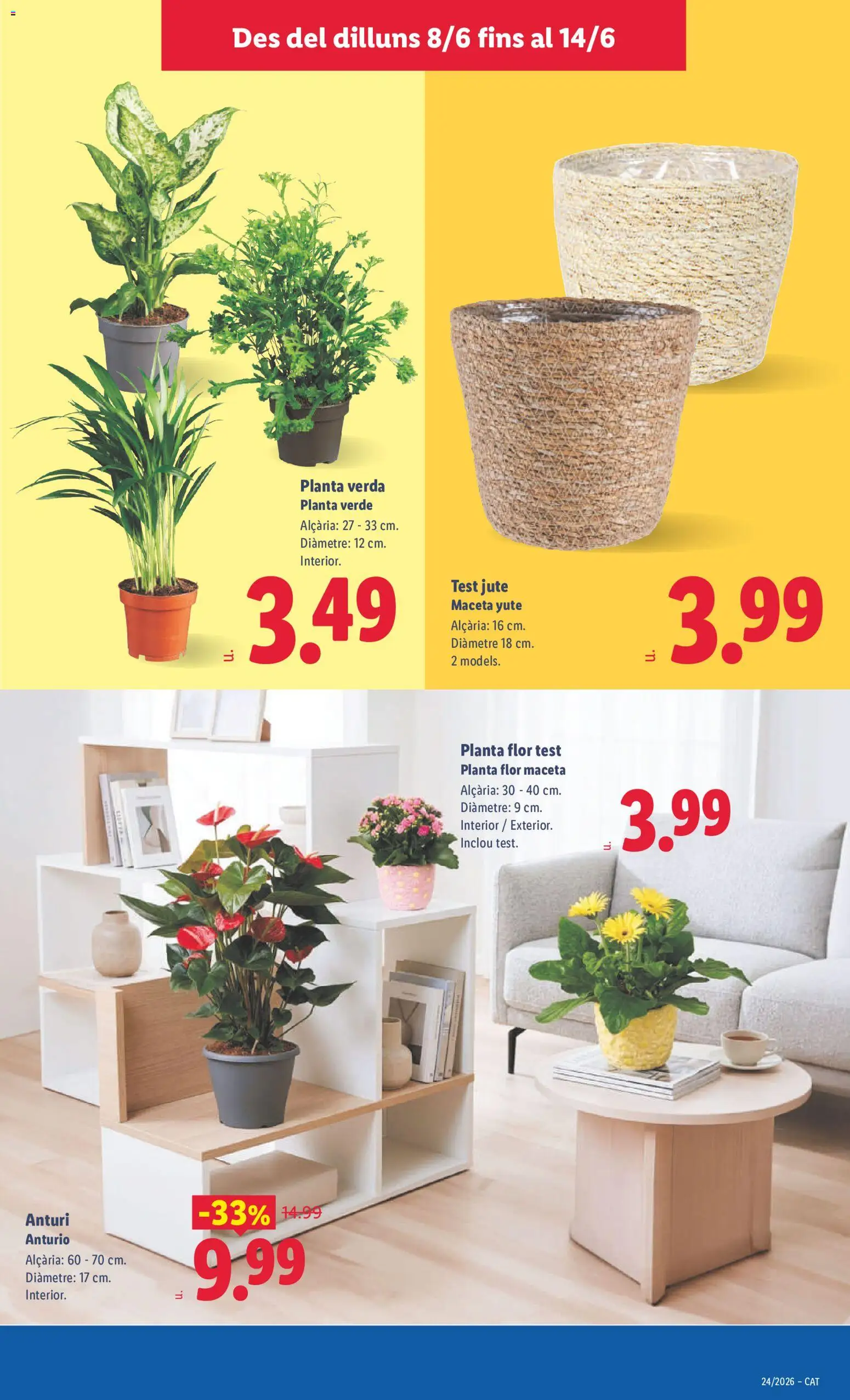 Lidl folleto │ válido desde el 08.06.2026 | Página: 51 | Productos: Maceta