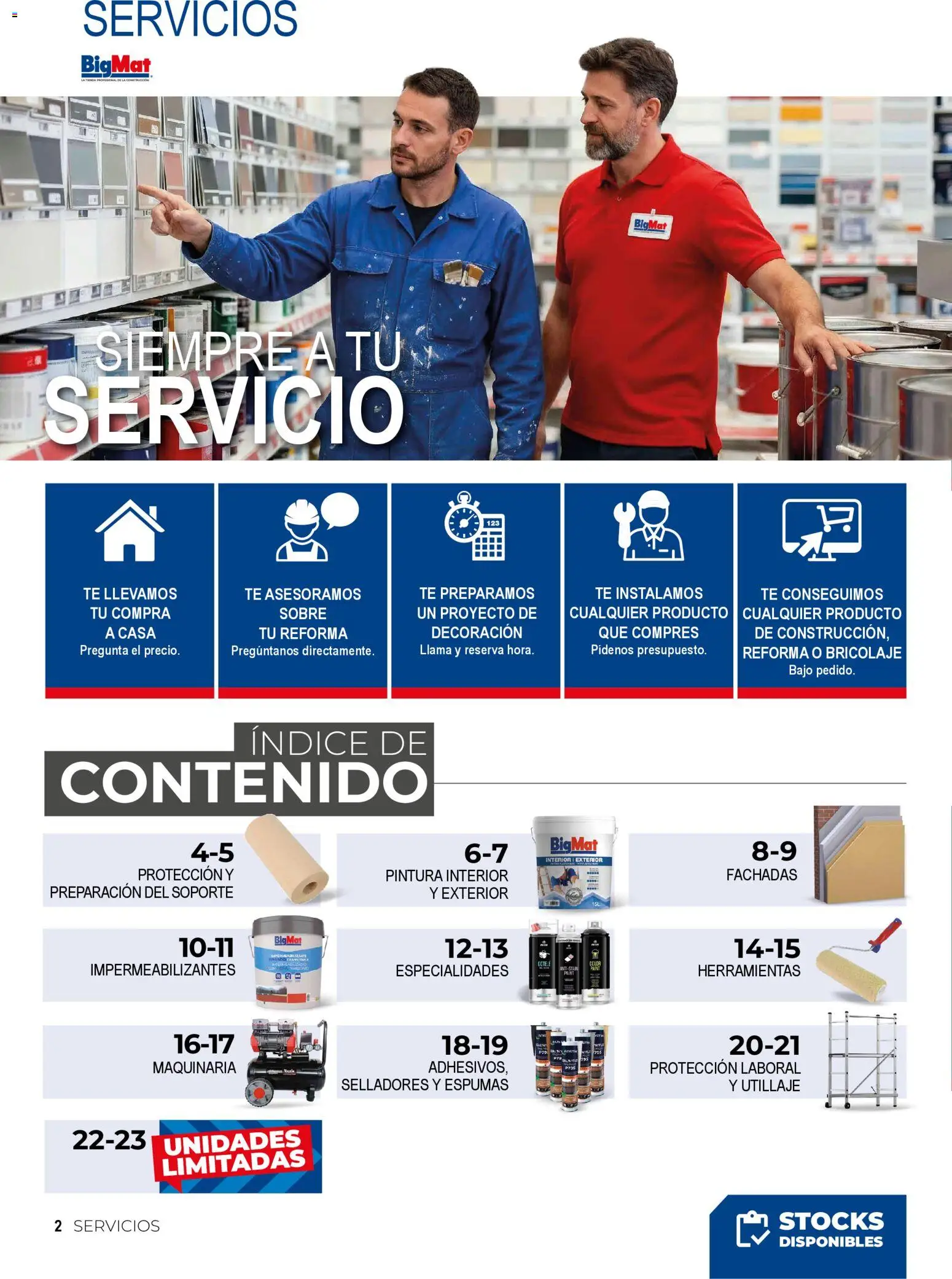 BigMat - Pintura 2026 │ válido desde el 20.04.2026 | Página: 2 | Productos: Té