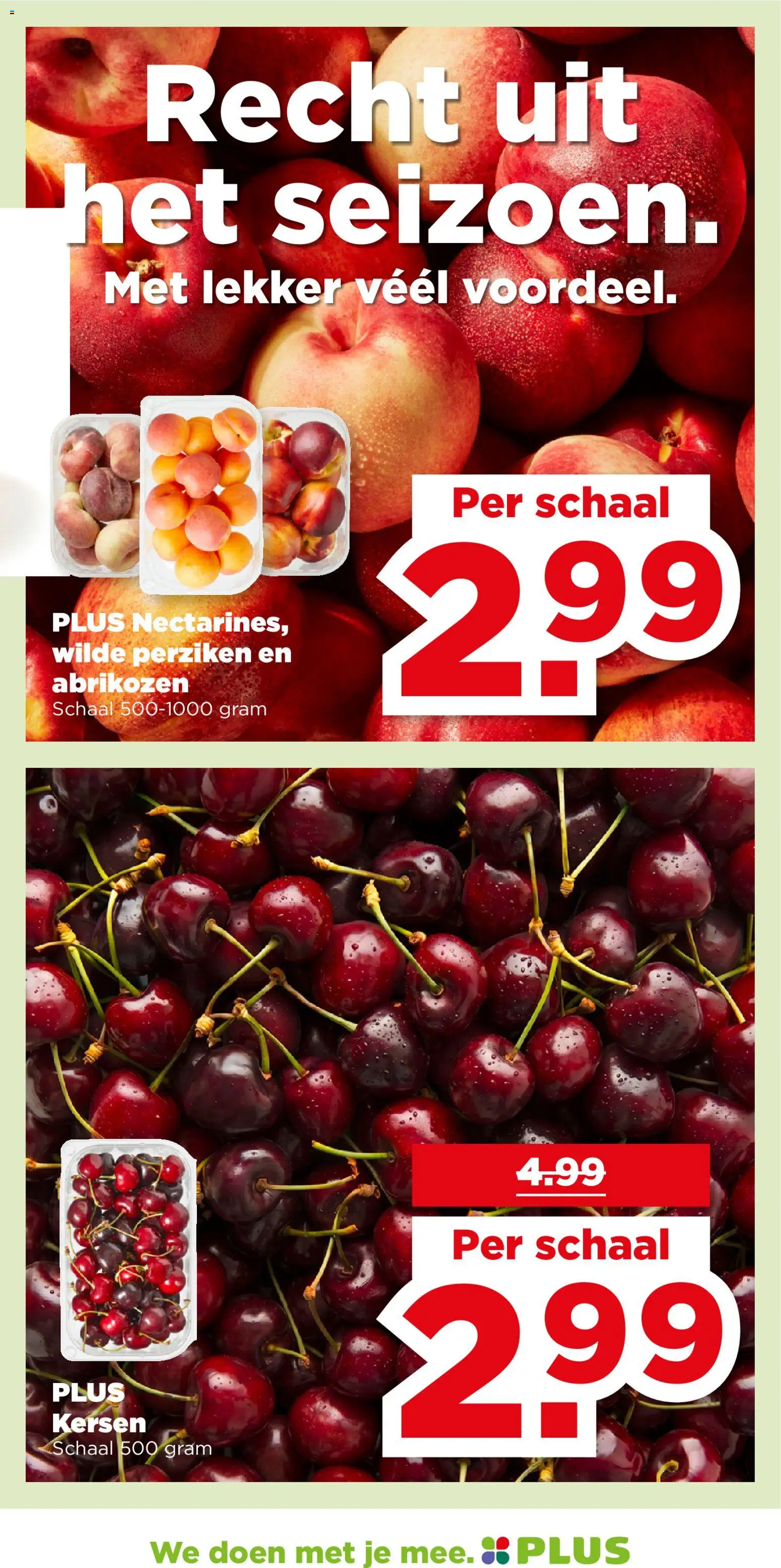 {H1} | Pagina: 6 | Producten: Kersen, Rösti, Schaal, Perziken