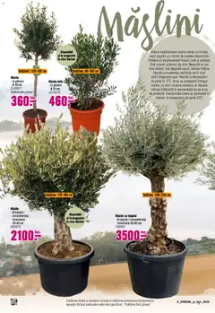 Ofertele Hornbach valabile de la 06.04.2026 | Pagină: 6