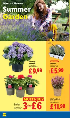 Preview of Weekly offers Lidl valid from 16/07/2026 | Page: 22