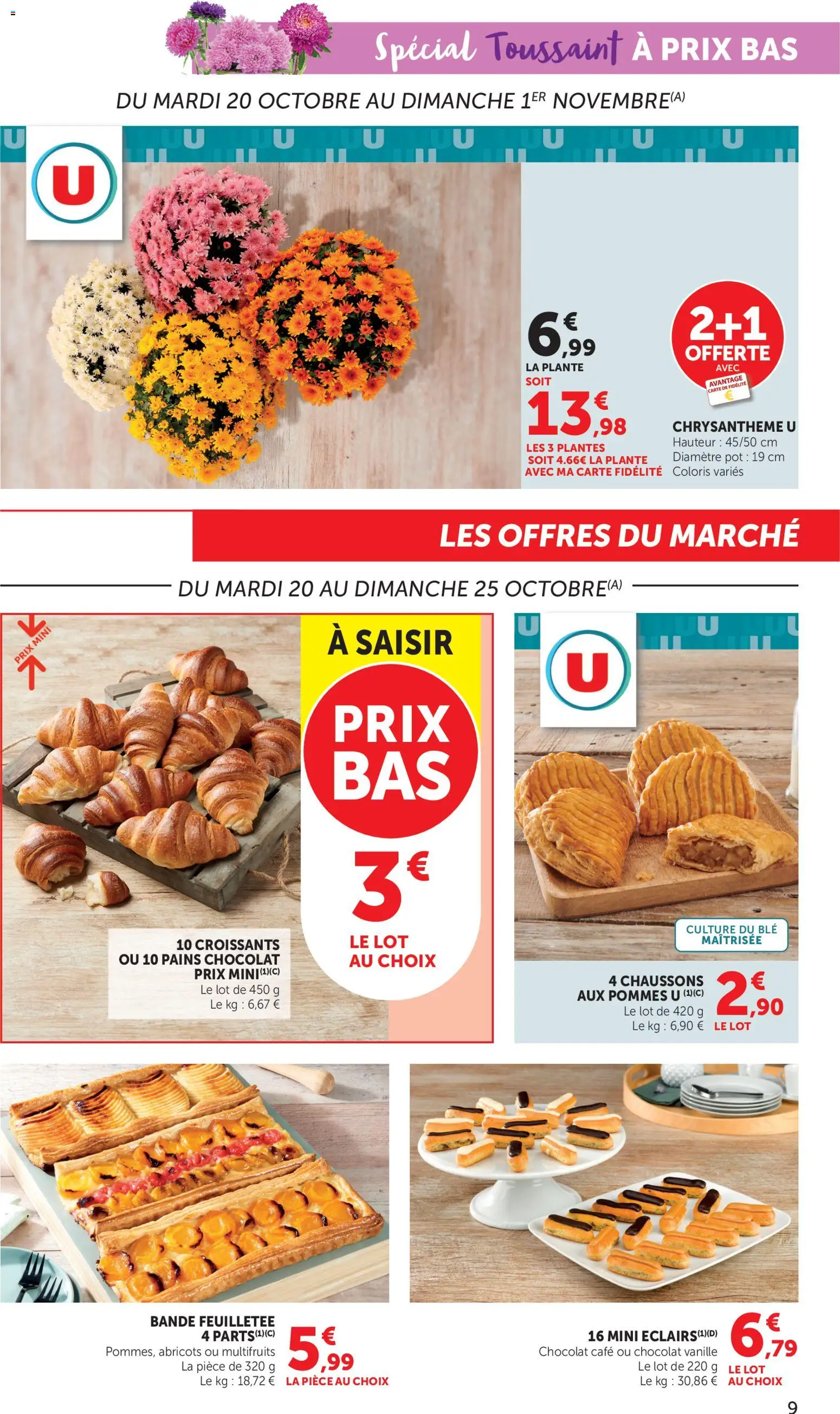 {H1} | Page: 9 | Produits: Chrysanthème, Abricots, Chocolat, Blé