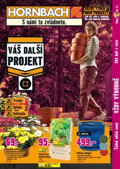 Náhled letáku HORNBACH leták - Trvalky od 06.05.2026 | Strana: 1