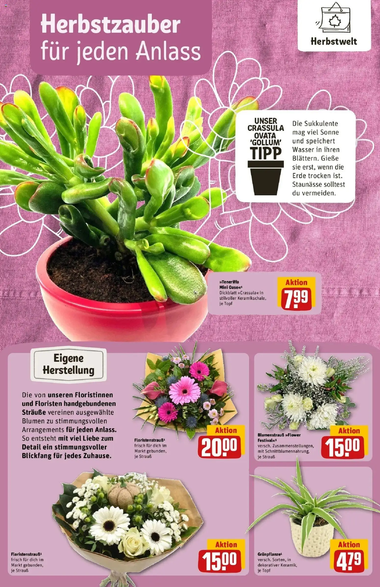 REWE Prospekt ab 05.10.2026 zum Blättern » Angebote | Seite: 14 | Produkte: Blumen, Wasser