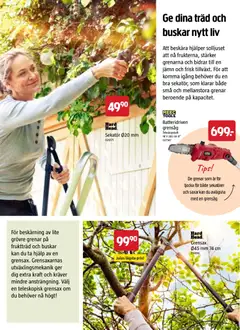Jula erbjudanden - Förhandsvisning av reklamblad från butik Jula aktuell från 01.04.2026 | Sida: 29 | Produkter: Sekatör, Grensåg, Grensax, Fruktträd