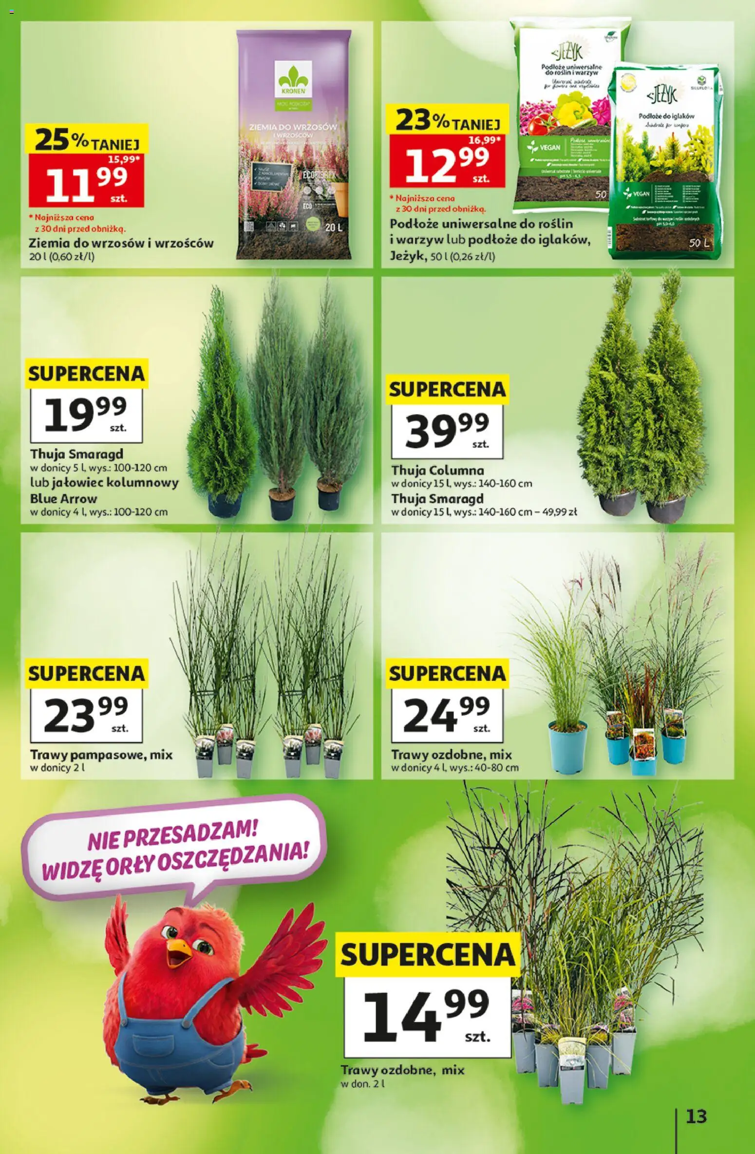 Auchan gazetka - 30 Lat Hipermarket od 03.09.2026 | Strona: 13 | Produkty: Trawy, Ziemia, Por, Podłoże uniwersalne