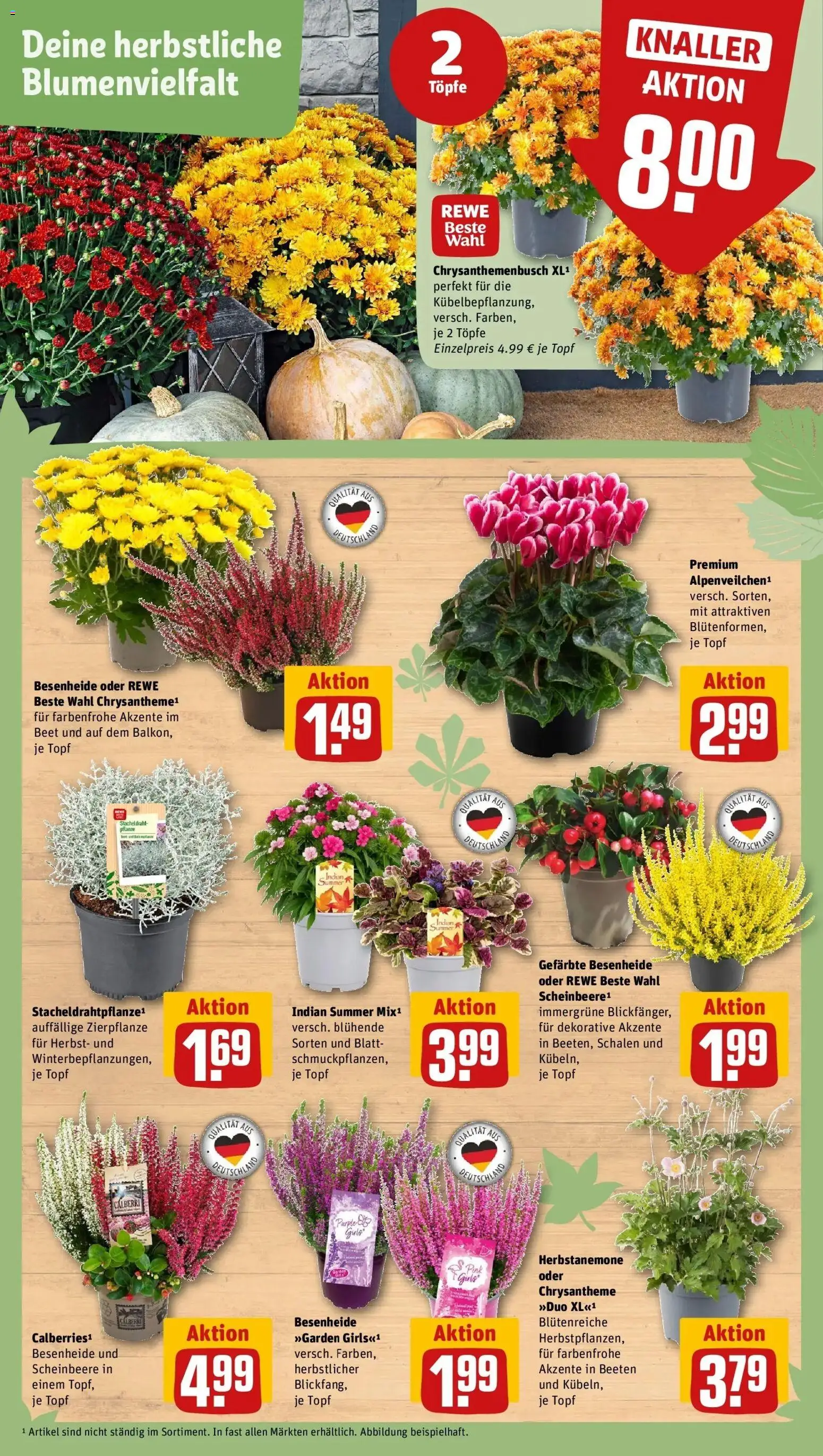 REWE Prospekt ab 14.09.2026 zum Blättern » Angebote | Seite: 6