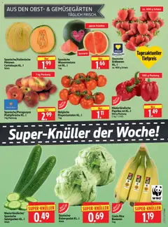 HERKULES Prospekt ab 15.06.2026 gültig | Seite: 5