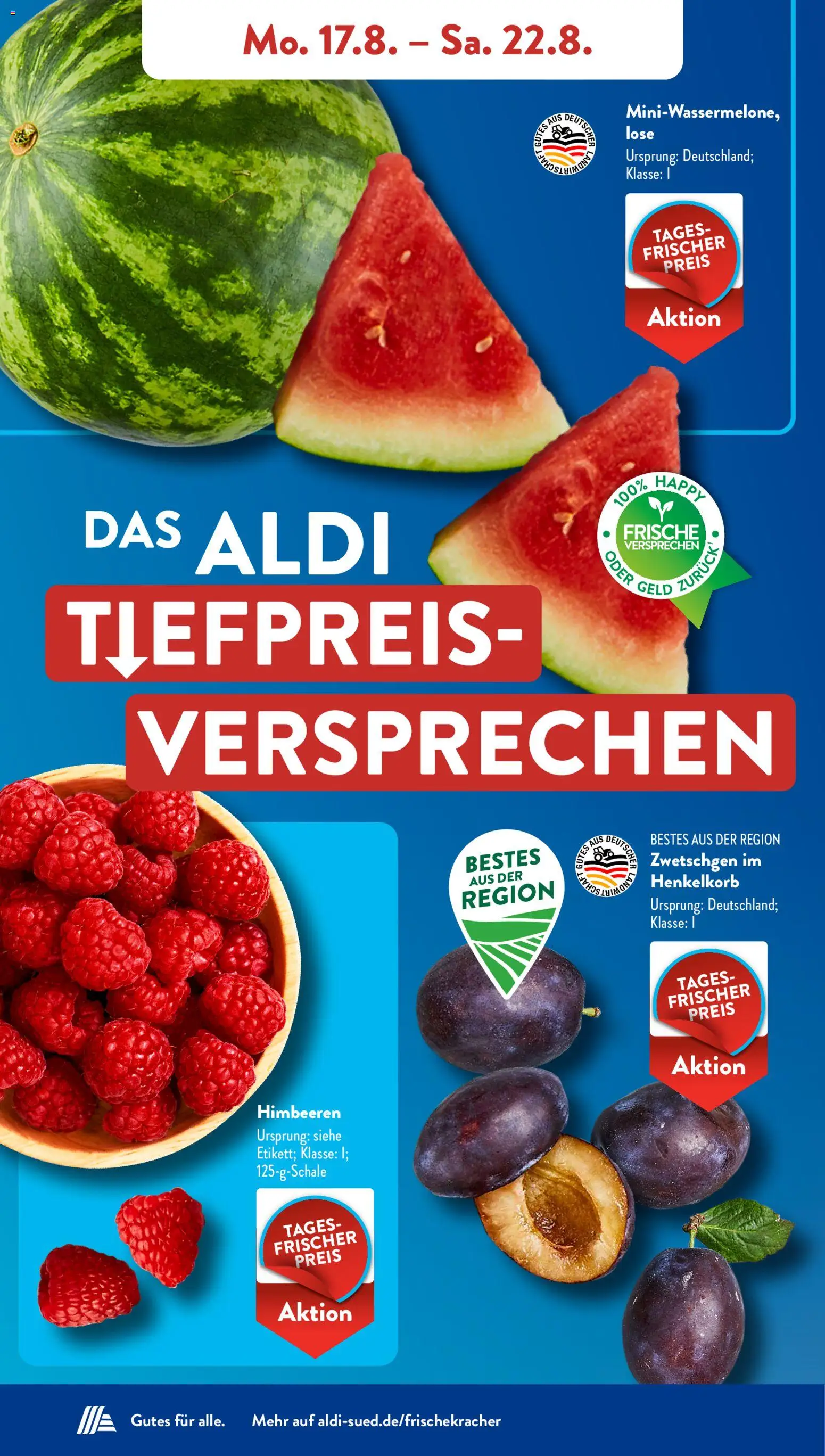 Aldi Süd Prospekt – gültig ab 17.08.2026 | Seite: 3 | Produkte: Fritteuse, Kochplatte