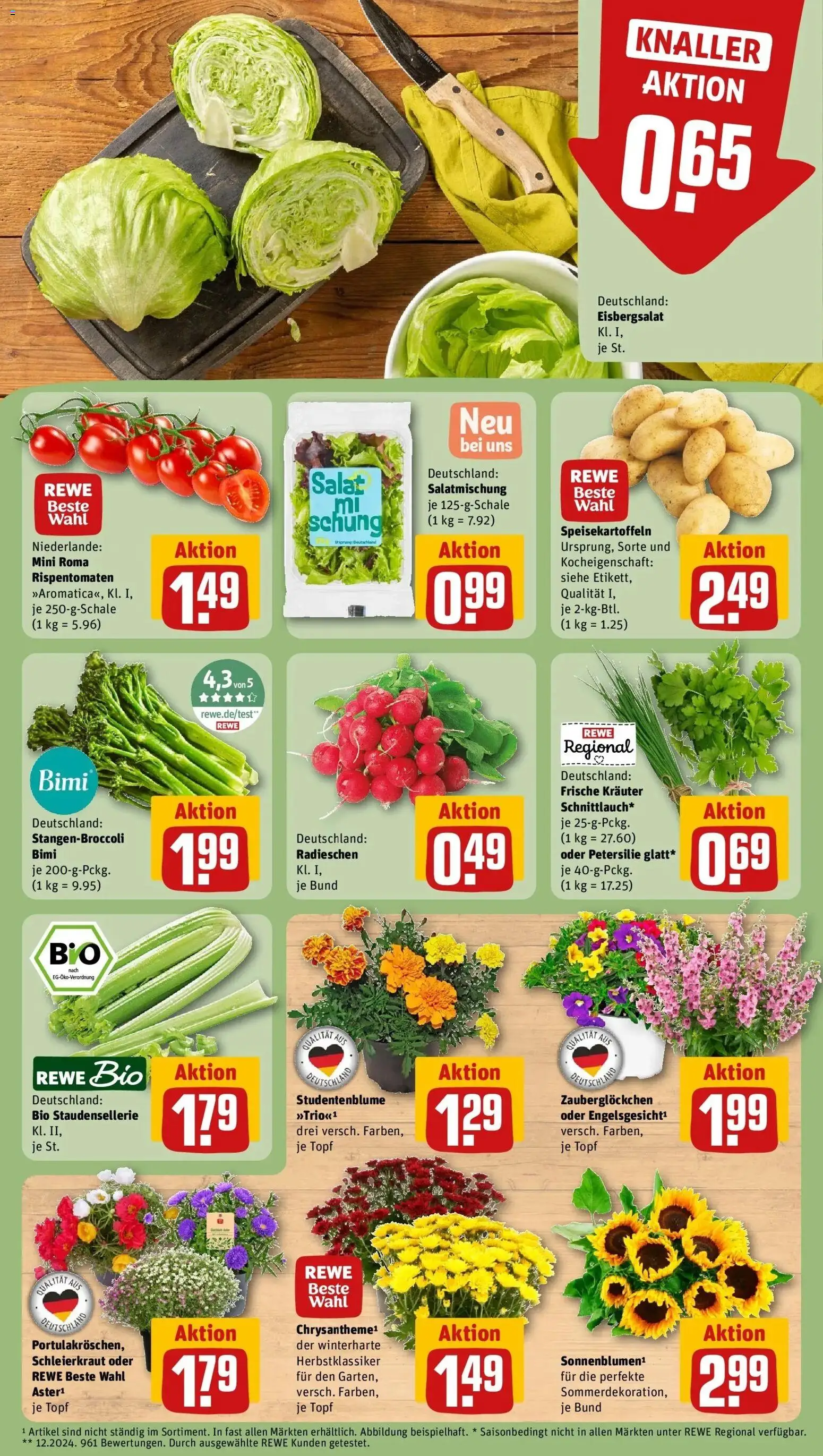 Rewe Prospekt Gießen – gültig ab 06.07.2026 | Seite: 5 | Produkte: Eisbergsalat, Petersilie, Salat